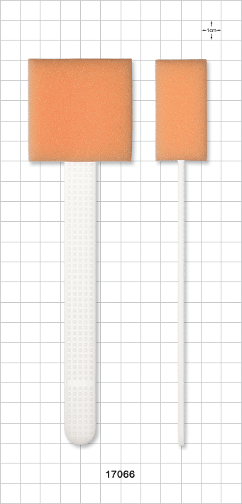 Sponge on a Stick