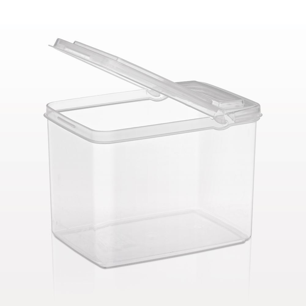 Large Rectangle Container with Flip Top Lid, Clear